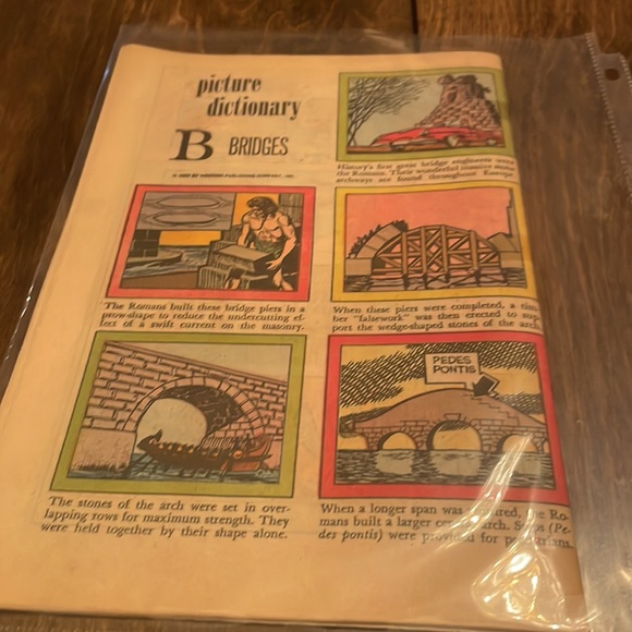 Flipper - Picture 3 of 3